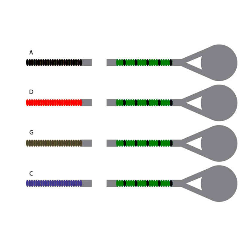 Viola String Color Chart