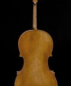 Jan Szlachtowski – Guadagnini Model Cello Back
